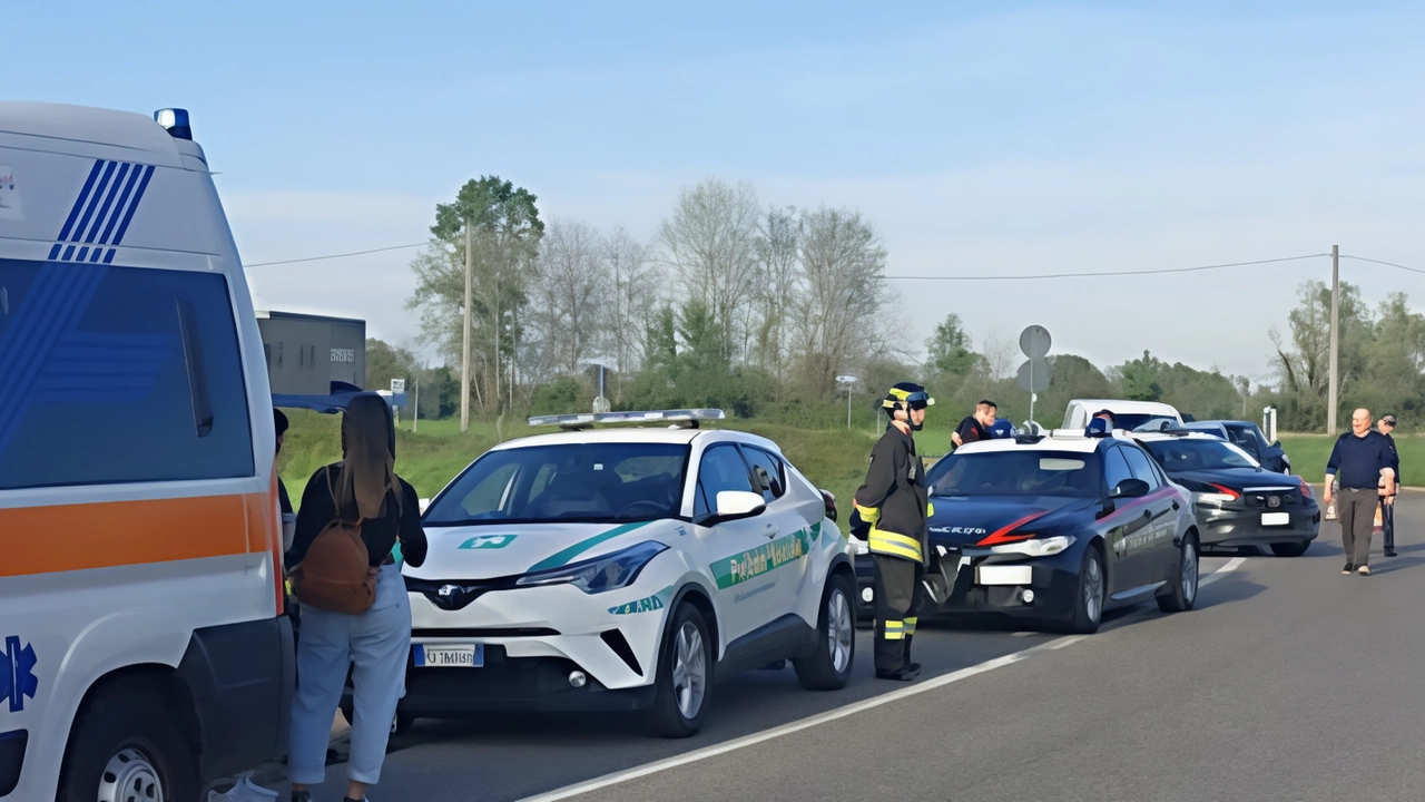 "Aiuto, c’è un’utilitaria contromano". Ma dopo le segnalazioni, all’arrivo delle forze dell’ordine, il conducente distratto si era già defilato. Paura... "Aiuto, c’è un’utilitaria contromano". Ma dopo le segnalazioni, all’arrivo delle forze dell’ordine, il conducente distratto si era già defilato. Paura...