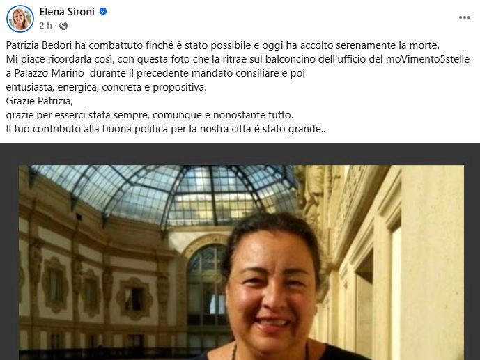 Il post facebook di Elena Sironi