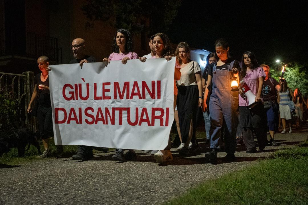 La storia dei maiali uccisi per la peste suina: “A due anni non è cambiato nulla” La storia dei maiali uccisi per la peste suina: “A due anni non è cambiato nulla”
