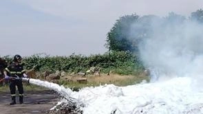 ZINASCO (Pavia) Due pregiudicati e un incensurato sono stati denunciati dai carabinieri della Stazione di Gropello Cairoli. I tre –...
