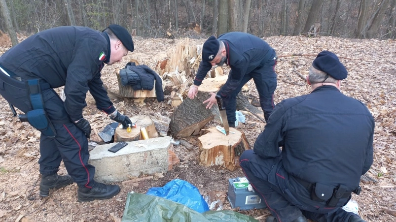 Rimossi due bivacchi a Bregnano Rimossi due bivacchi a Bregnano