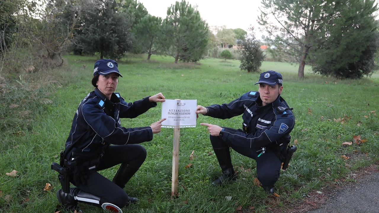 “Attenzione ai funghi velenosi”, recita il cartello per mettere in guardia ma in questo caso sarebbero stati acquistati da un venditore abusivo “Attenzione ai funghi velenosi”, recita il cartello per mettere in guardia ma in questo caso sarebbero stati acquistati da un venditore abusivo