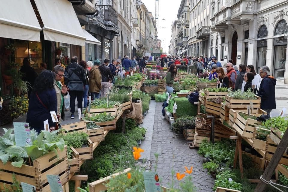 Cremona Invasioni Botaniche