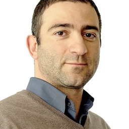 Rosario Raffaele Palazzolo, Giornalista Il Giorno