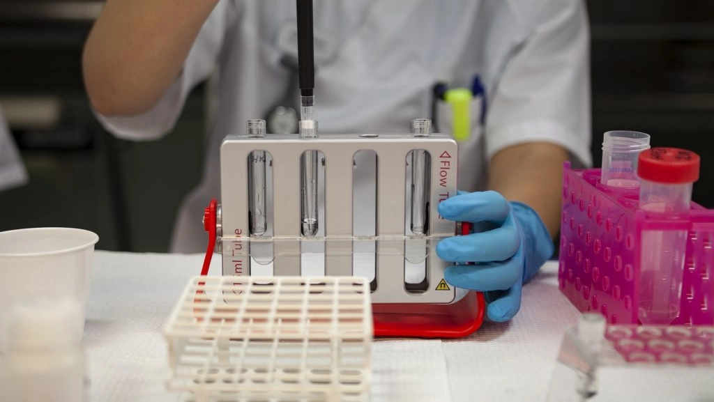 La donna è stata sottoposta al test ematico poche ore dopo l’incidente La donna è stata sottoposta al test ematico poche ore dopo l’incidente