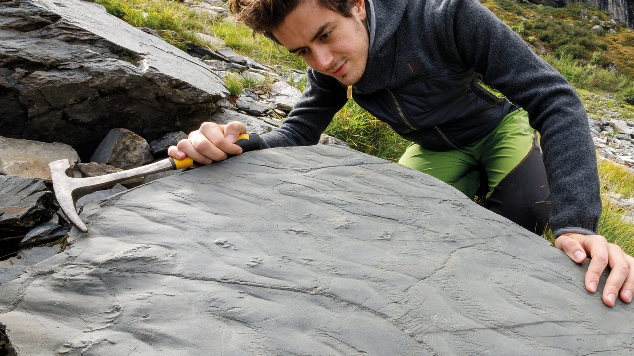 Gli incredibili ritrovamenti di arte rupestre in Alta Valtellina