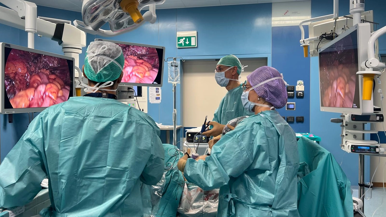 Al Del Ponte la malattia viene affrontata da una task-force composta da ginecologi chirurghi radiologi, urologi e psicologi Al Del Ponte la malattia viene affrontata da una task-force composta da ginecologi chirurghi radiologi, urologi e psicologi