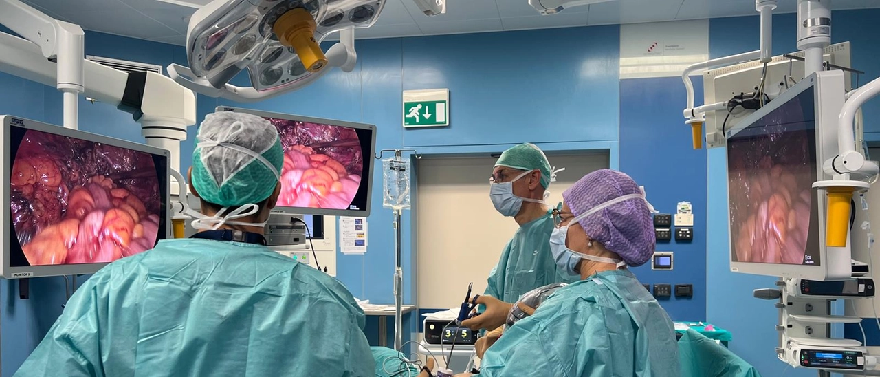 Endometriosi, cure all’avanguardia all’Ospedale Del Ponte: punto di riferimento in Lombardia per diagnosi e trattamento