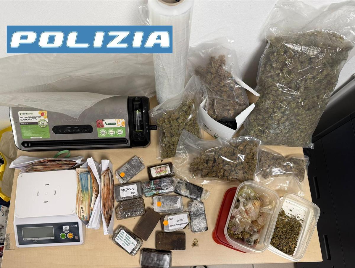 monza in casa la base logistica per lo spaccio droga nascosta anche nel cibo per i gatti due arresti