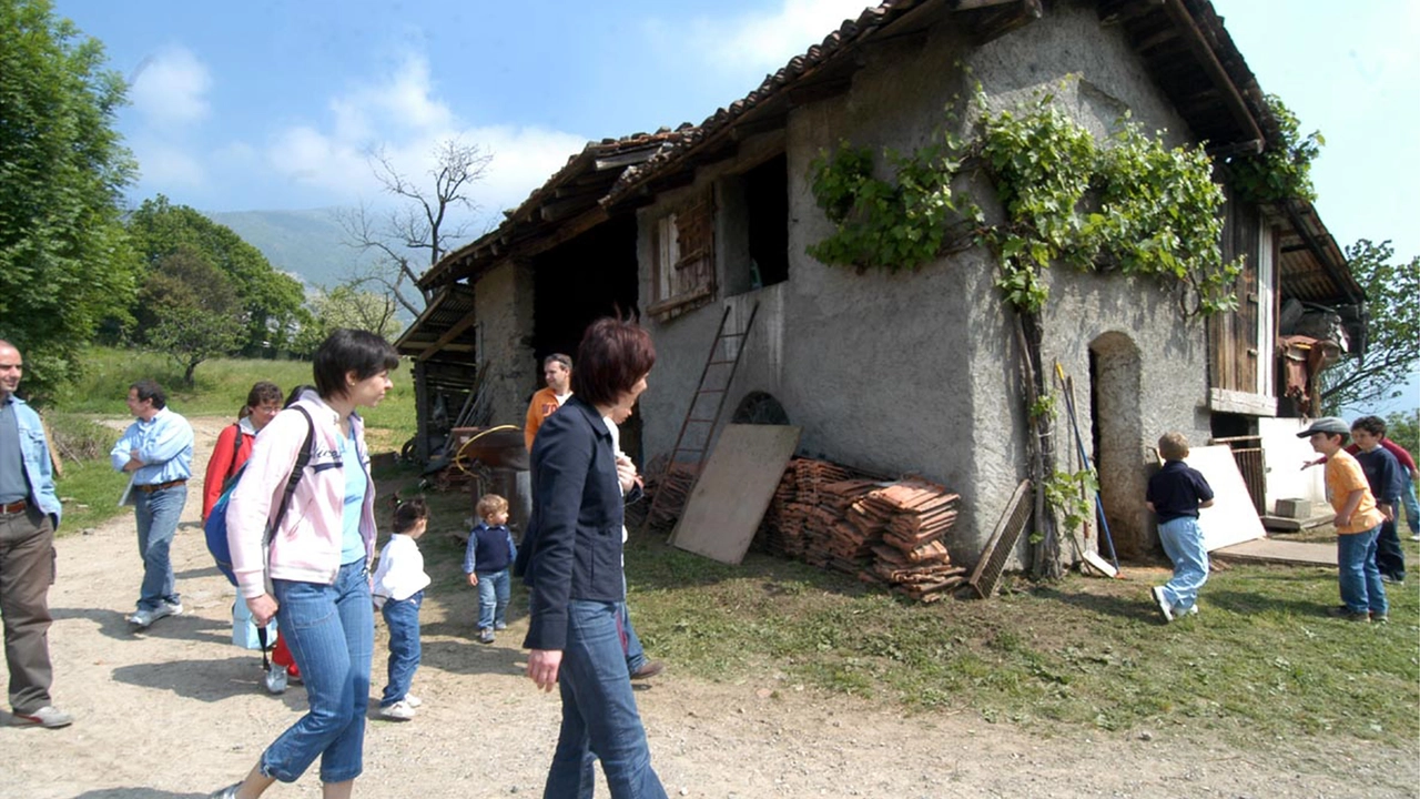 Agriturismi in crisi in Lombardia: i numeri e i motivi