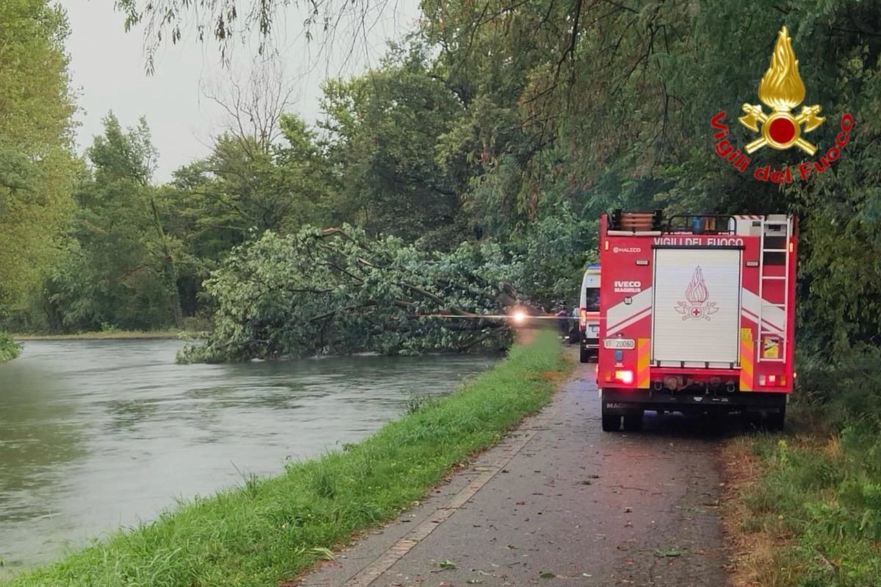 I vigili del fuoco sul luogo della tragedia: sullo sfondo la pianta caduta