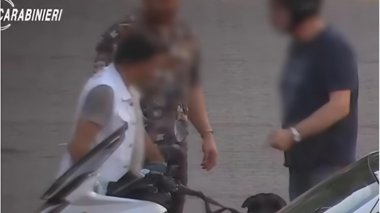 Le indagini dei carabinieri e della Dda hanno documentato la spartizione delle piazze di spaccio tra i gruppi Le indagini dei carabinieri e della Dda hanno documentato la spartizione delle piazze di spaccio tra i gruppi