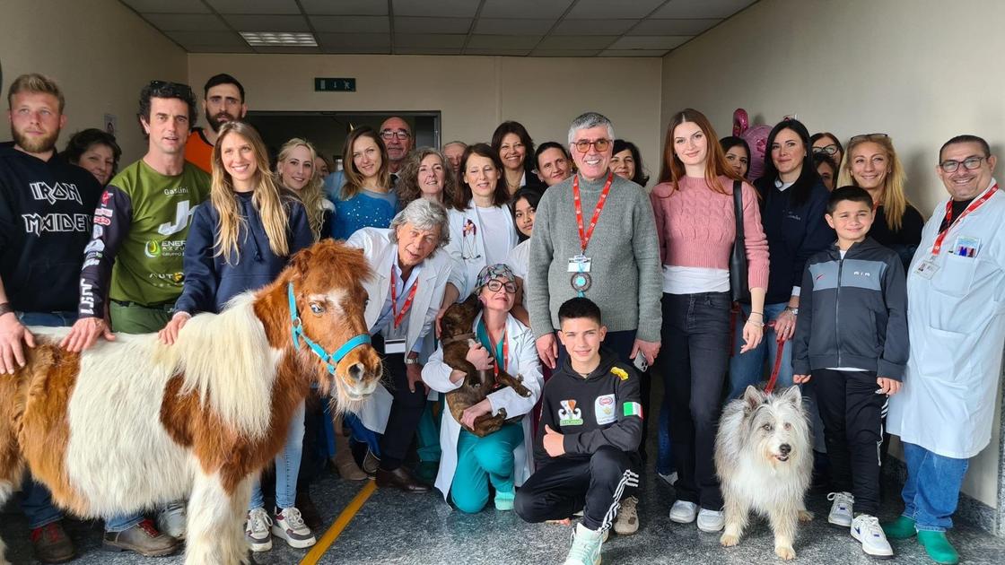 il pony l asinello e la cagnolina una giornata speciale in corsia