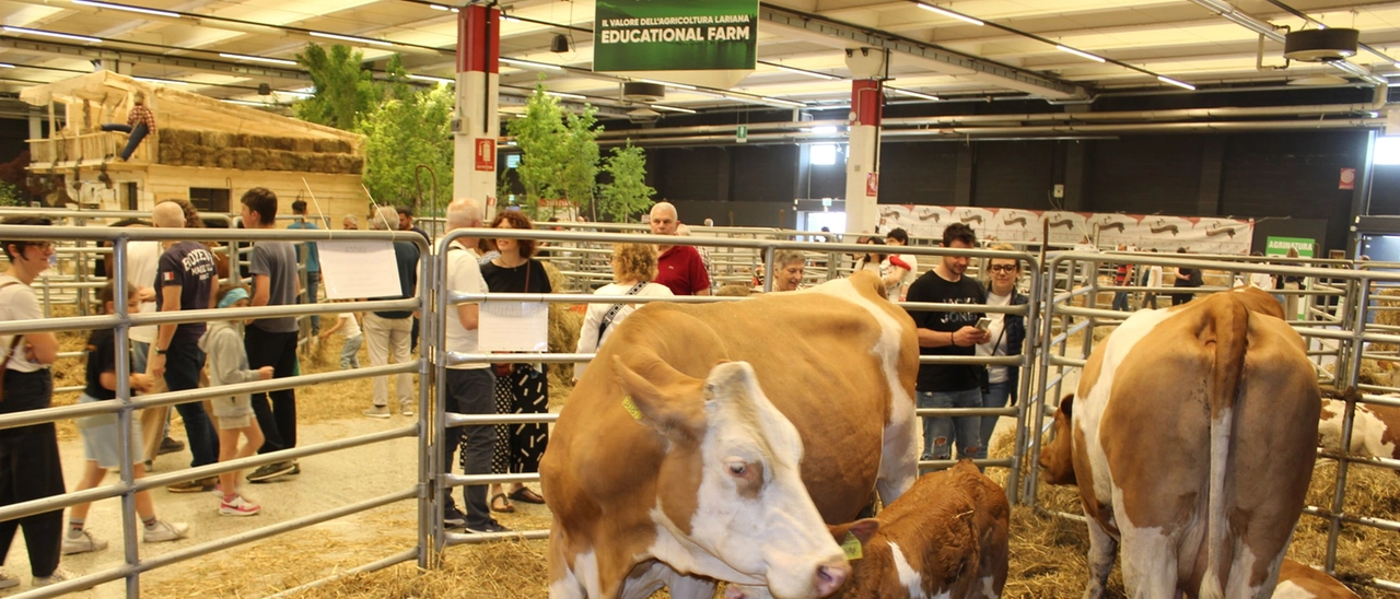 Erba, Agrinatura chiude con 26mila visitatori e 160 iniziative