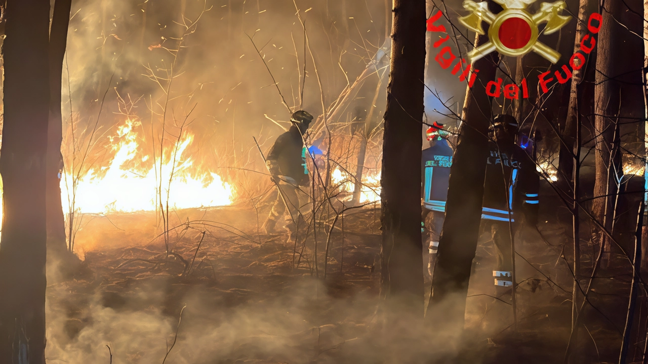 Notte di fuoco e paura nel Parco delle Groane. L’allarme per un incendio è scattato sabato sera poco prima delle... Notte di fuoco e paura nel Parco delle Groane. L’allarme per un incendio è scattato sabato sera poco prima delle...