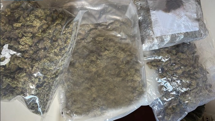 La marijuana era custodita in buste sottovuoto per preservarne... la qualità