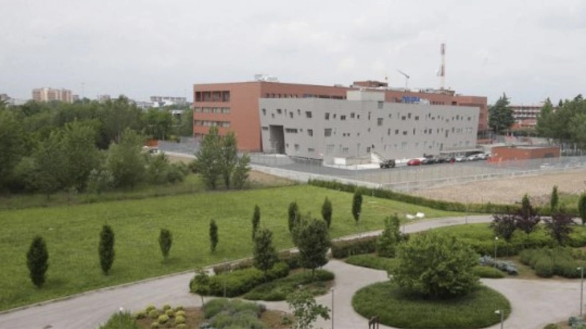 Taglio del bosco di 25mila mq, via libera dal Comune. Comitati in rivolta: “È uno scempio ambientale”