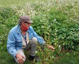 Assegnate due bandiere verdi in Valle
