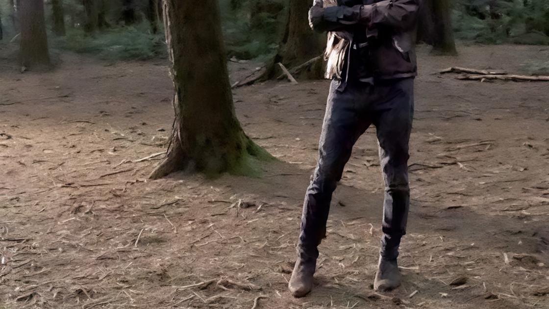 Il bosco del Chignolo e quel video di Ligabue Il bosco del Chignolo e quel video di Ligabue