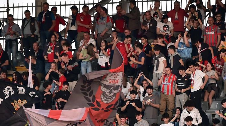La Cremonese sfida il Pisa capolista allo Zini: test cruciale per le ambizioni grigiorosse. Corini pronto a confermare il 4-3-3. La Cremonese sfida il Pisa capolista allo Zini: test cruciale per le ambizioni grigiorosse. Corini pronto a confermare il 4-3-3.