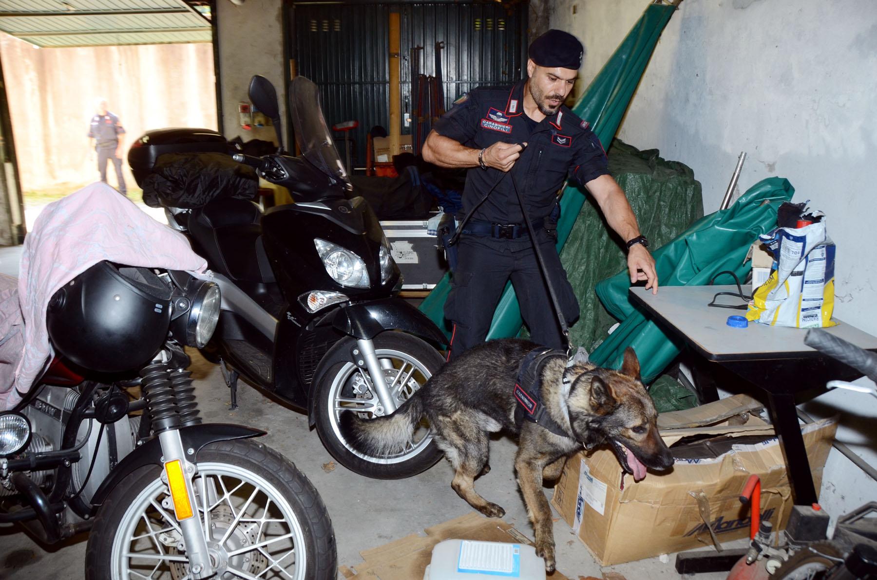 Come fanno i cani dei carabinieri a scovare armi e droga dietro muri blindati, senza fiatare: viaggio nella “truppa d’elite”