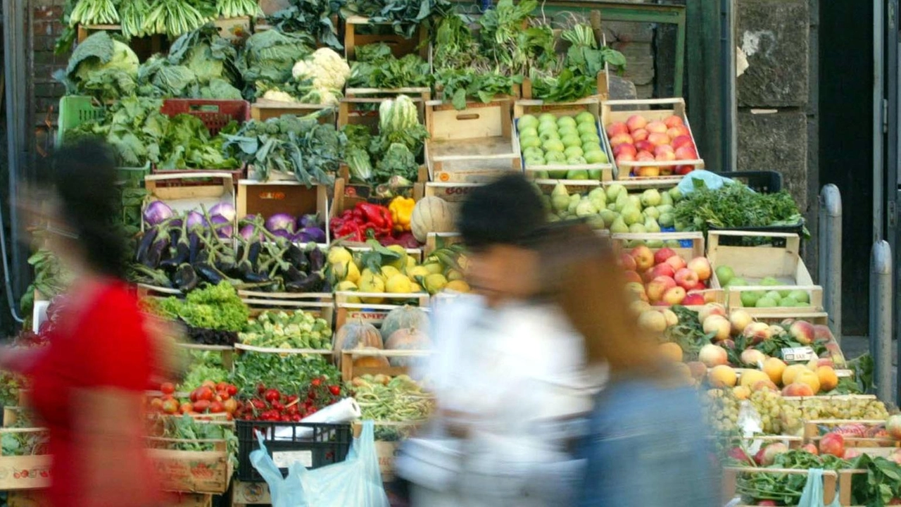 Unioncamere, ma al Sud crescono di più, +15,7% tra 2019 e 2023 Unioncamere, ma al Sud crescono di più, +15,7% tra 2019 e 2023