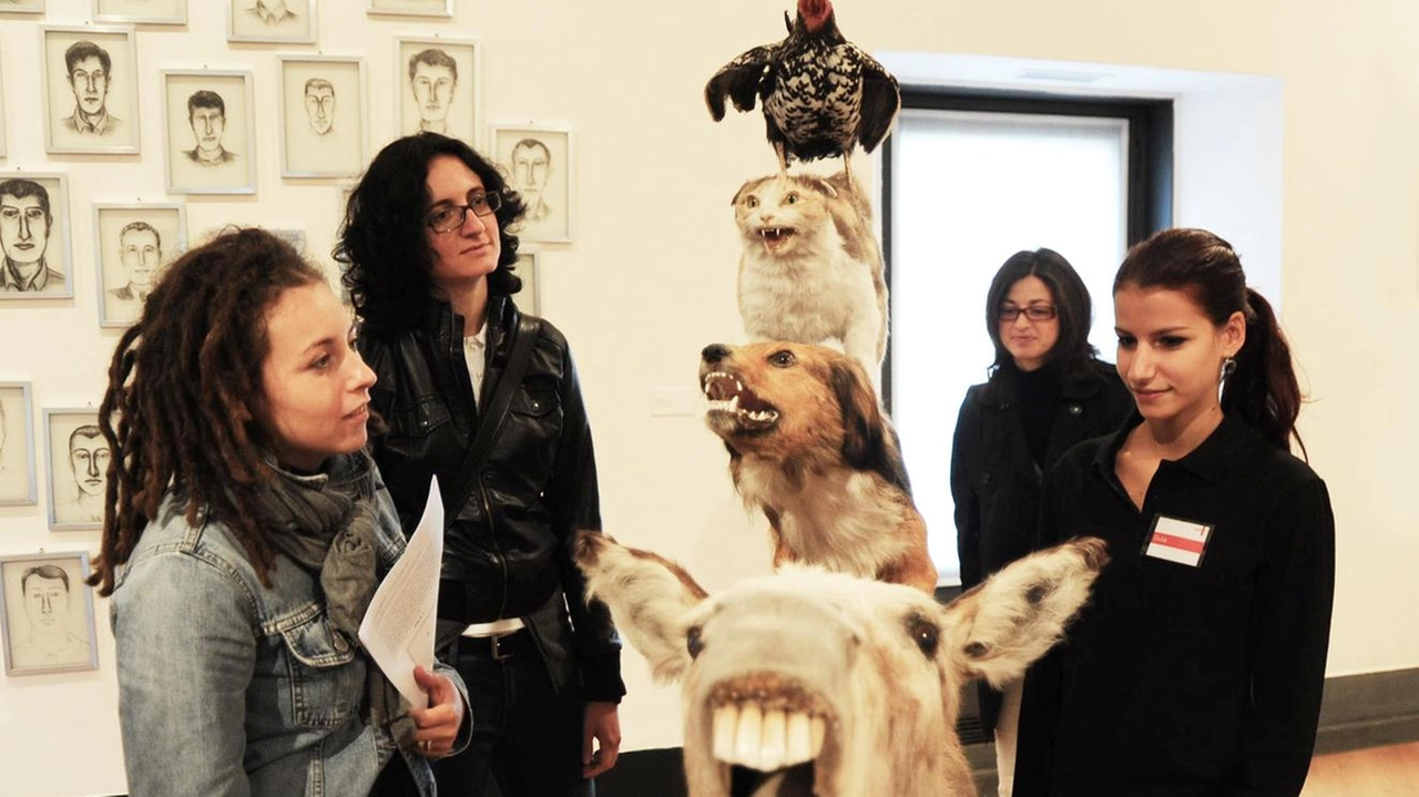 L'amministrazione comunale di Bergamo offre biglietti omaggio per la Gamec alle coppie che celebrano matrimoni o unioni civili in municipio, promuovendo l'arte contemporanea come arricchimento culturale. L'amministrazione comunale di Bergamo offre biglietti omaggio per la Gamec alle coppie che celebrano matrimoni o unioni civili in municipio, promuovendo l'arte contemporanea come arricchimento culturale.