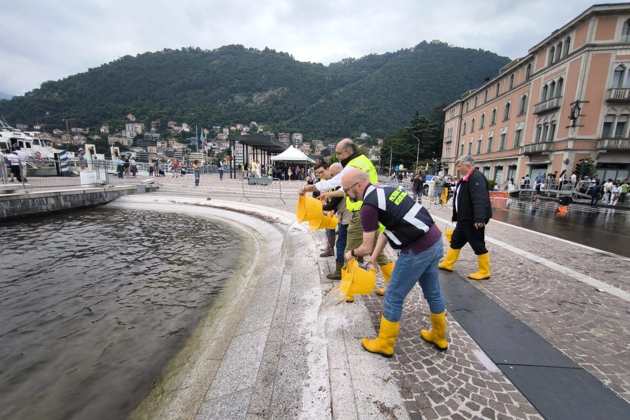 La protesta simbolica non è certo passata inosservata
