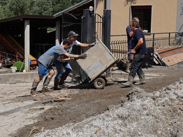 immagine articolo