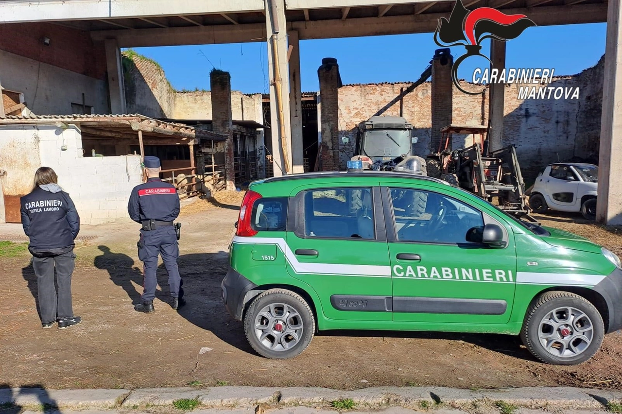 Il blitz dei carabinieri