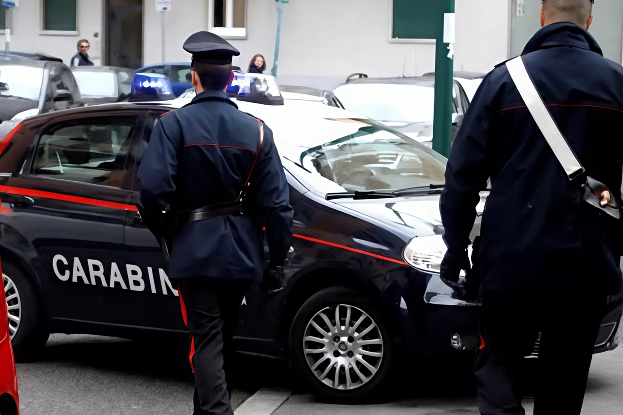 L'indagine per incastrare l'autore di furti ed effrazioni è stata condotta dai carabinieri di Albizzate e Cassano Magnago