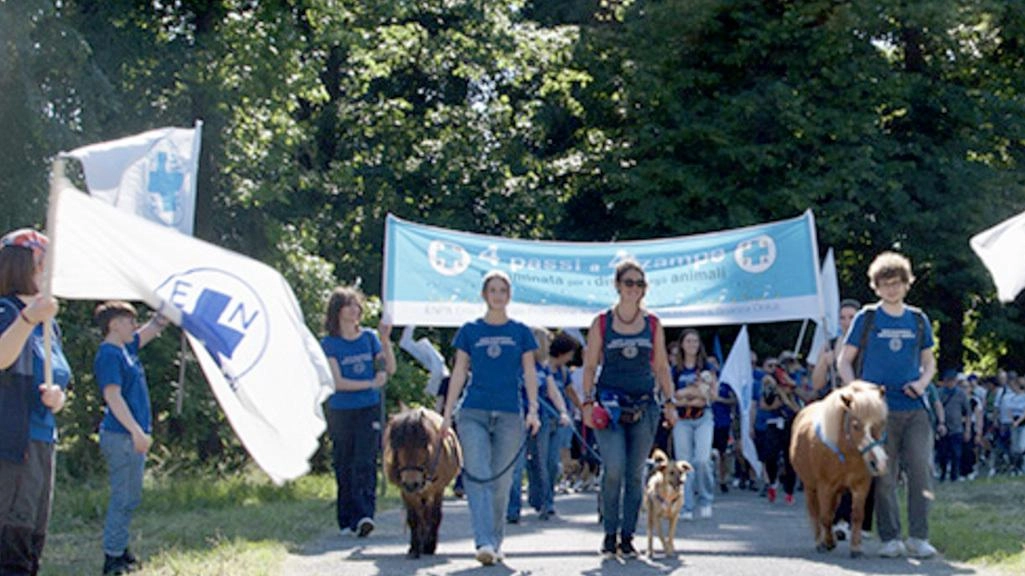 Durante una giornata di sole i partecipanti hanno preso parte all’evento contro la violenza sugli animali