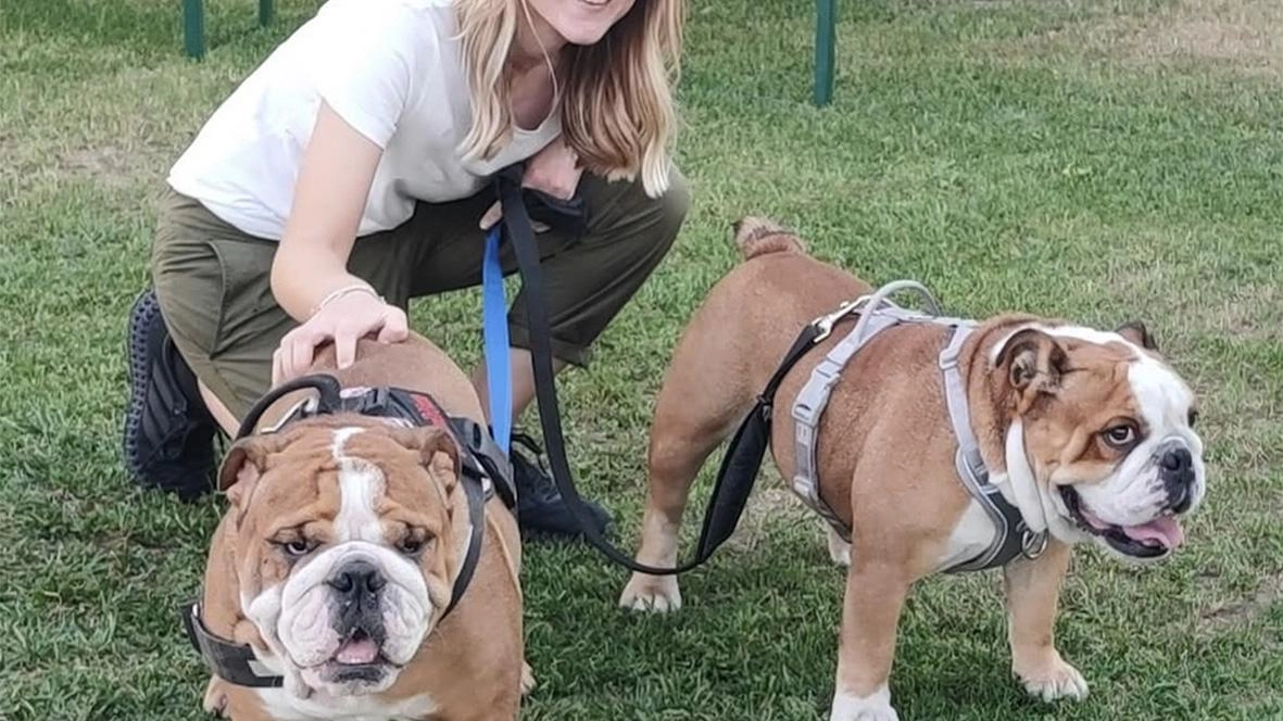 L’appuntamento racconta la popolare razza di cani e raccoglie fondi per gli esemplari abbandonati L’appuntamento racconta la popolare razza di cani e raccoglie fondi per gli esemplari abbandonati