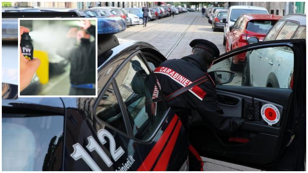 In azione i carabinieri. I raid avvenivano con l'uso dello spray al peperoncino In azione i carabinieri. I raid avvenivano con l'uso dello spray al peperoncino