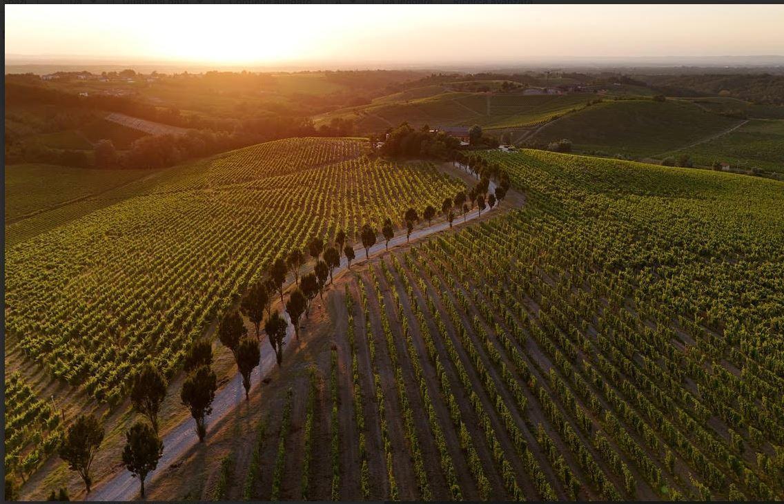 Il profilo dell’enoturista. L’87% acquista vino in loco e soggiorna in media 2 notti Il profilo dell’enoturista. L’87% acquista vino in loco e soggiorna in media 2 notti