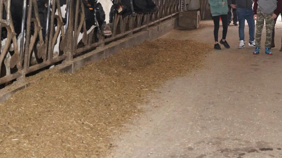 L’istituto tecnico agrario Antonio Tosi ospita al suo interno anche una stalla L’istituto tecnico agrario Antonio Tosi ospita al suo interno anche una stalla