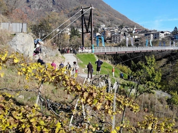 immagine articolo