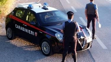Sono fuggiti a bordo della refurtiva, una costosa Audi A5 rubata dal garage della casa svaligiata anche di... Sono fuggiti a bordo della refurtiva, una costosa Audi A5 rubata dal garage della casa svaligiata anche di...