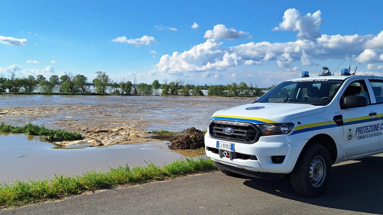 Capriolo bloccato tra il fiume in piena e una strada trafficata: salvato dalla protezione civile