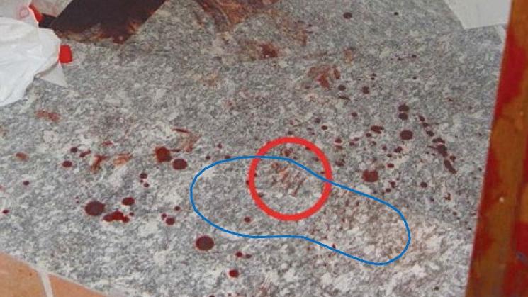 Garlasco, l’impronta di una scarpa nel sangue e la ‘strisciata’ mai analizzata dal Ris: “Ecco le tracce del secondo assassino” Garlasco, l’impronta di una scarpa nel sangue e la ‘strisciata’ mai analizzata dal Ris: “Ecco le tracce del secondo assassino”