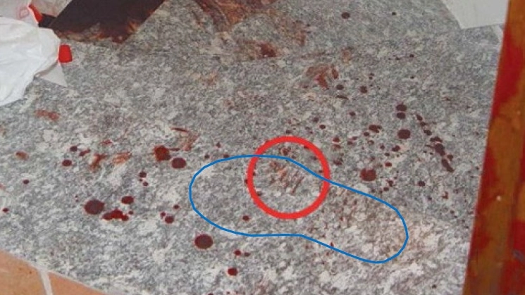 La traccia di scarpa misteriosa sulla scena del crimine nella villetta di Garlasco La traccia di scarpa misteriosa sulla scena del crimine nella villetta di Garlasco