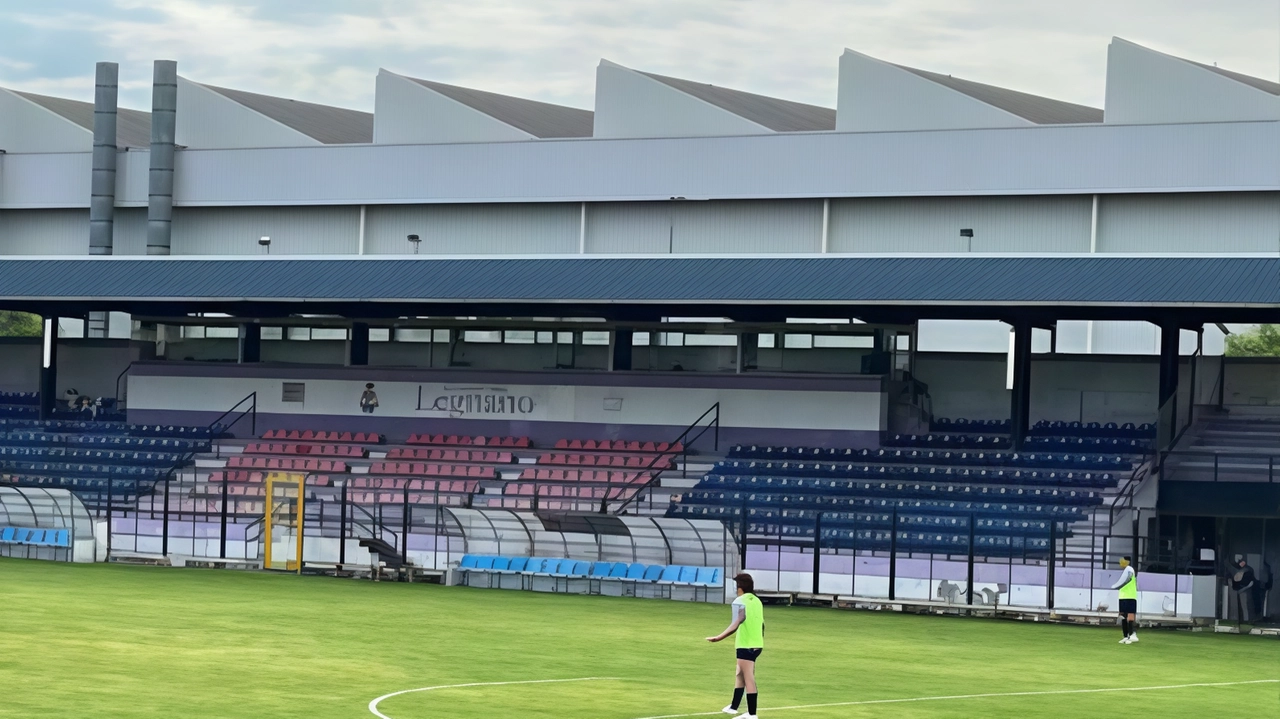 Da domani sarà l’Academy Legnano che ha vinto il bando a gestire il Mari La squadra lilla aspetta di rientare a casa per le partite interne Da domani sarà l’Academy Legnano che ha vinto il bando a gestire il Mari La squadra lilla aspetta di rientare a casa per le partite interne