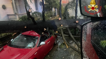 Nubifragio nel Varesotto: alberi caduti e disagi al traffico anche a Malpensa