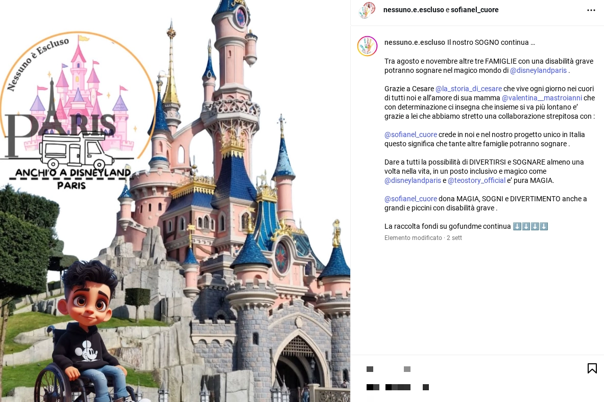 Il progetto 'Anch'io a Disneyland Paris' di Nessuno è Escluso (Foto profilo Instagram)