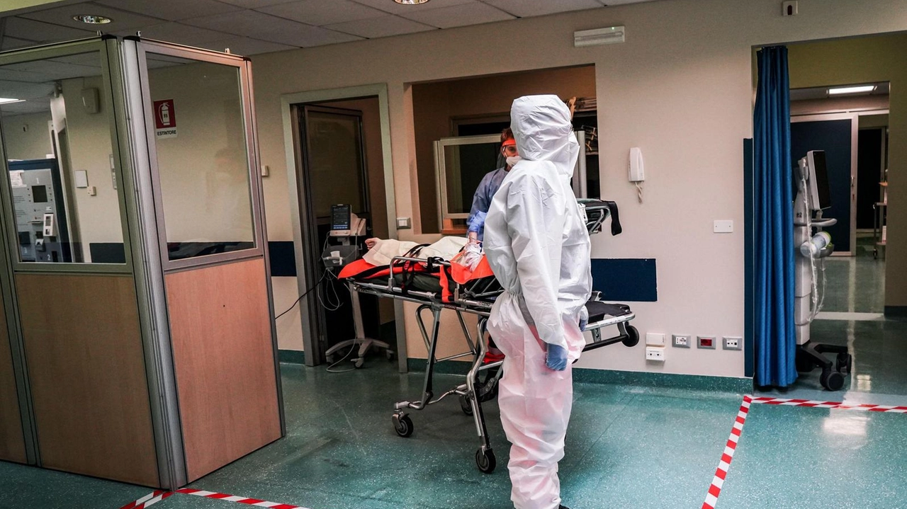 I soccorsi ai pazienti durante la fase più acuta della pandemia I soccorsi ai pazienti durante la fase più acuta della pandemia