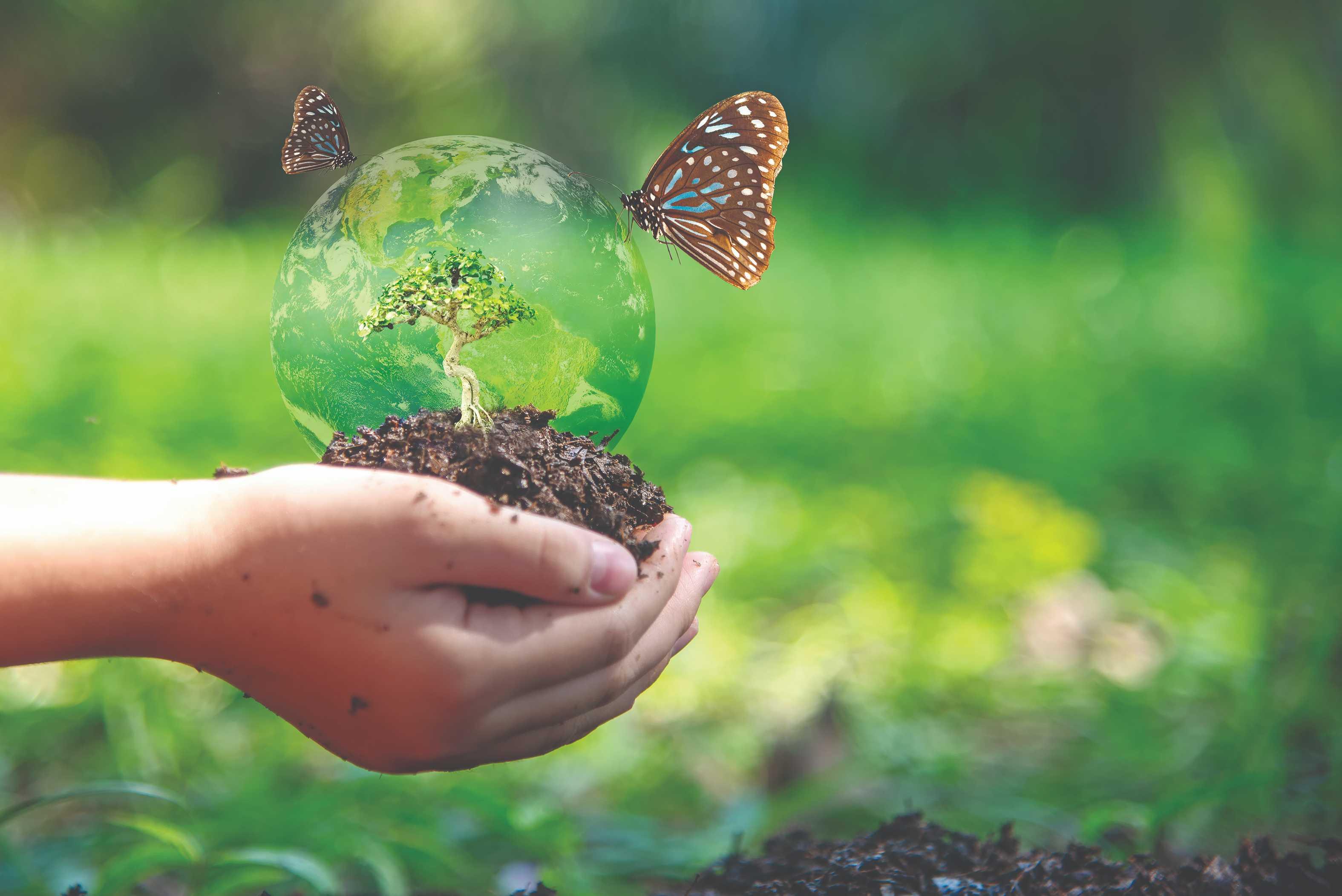 Legambiente verso un futuro più "green" Legambiente verso un futuro più "green"