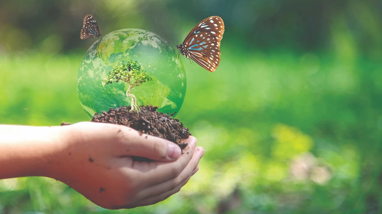 Donare a Legambiente significa supportare opere di riforestazione Donare a Legambiente significa supportare opere di riforestazione