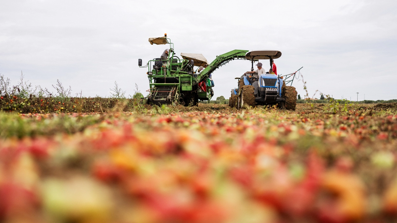 Attività agricola Attività agricola