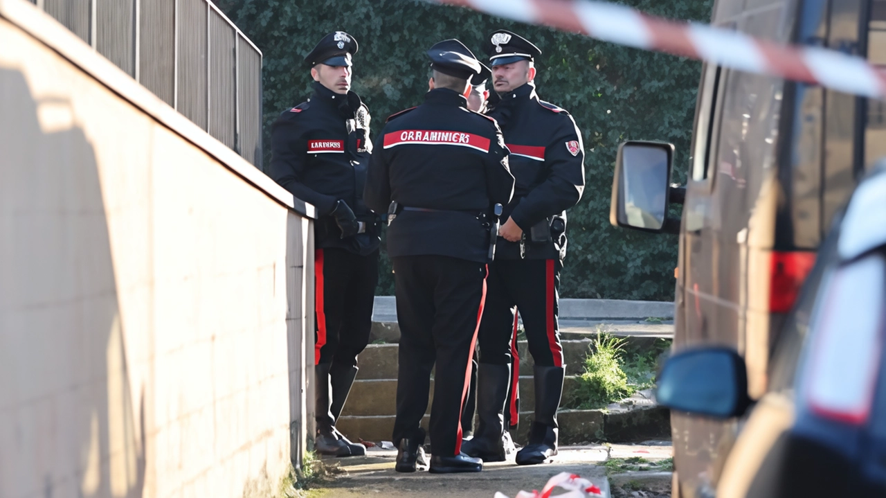 Provaglio d'Iseo, i carabinieri sul luogo dell'omicidio Provaglio d'Iseo, i carabinieri sul luogo dell'omicidio