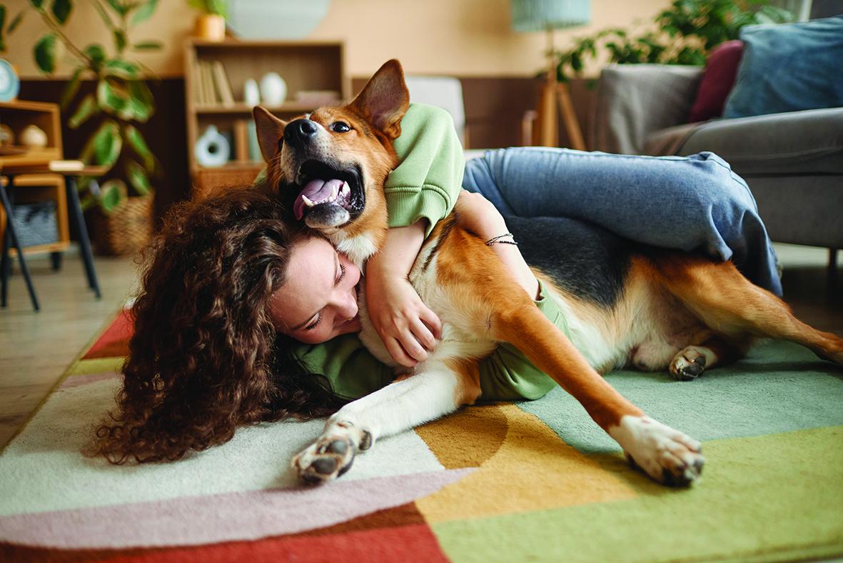 stare dalla parte degli animali è un gesto che può cambiare le cose da Ilgiorno.it stare dalla parte degli animali è un gesto che può cambiare le cose